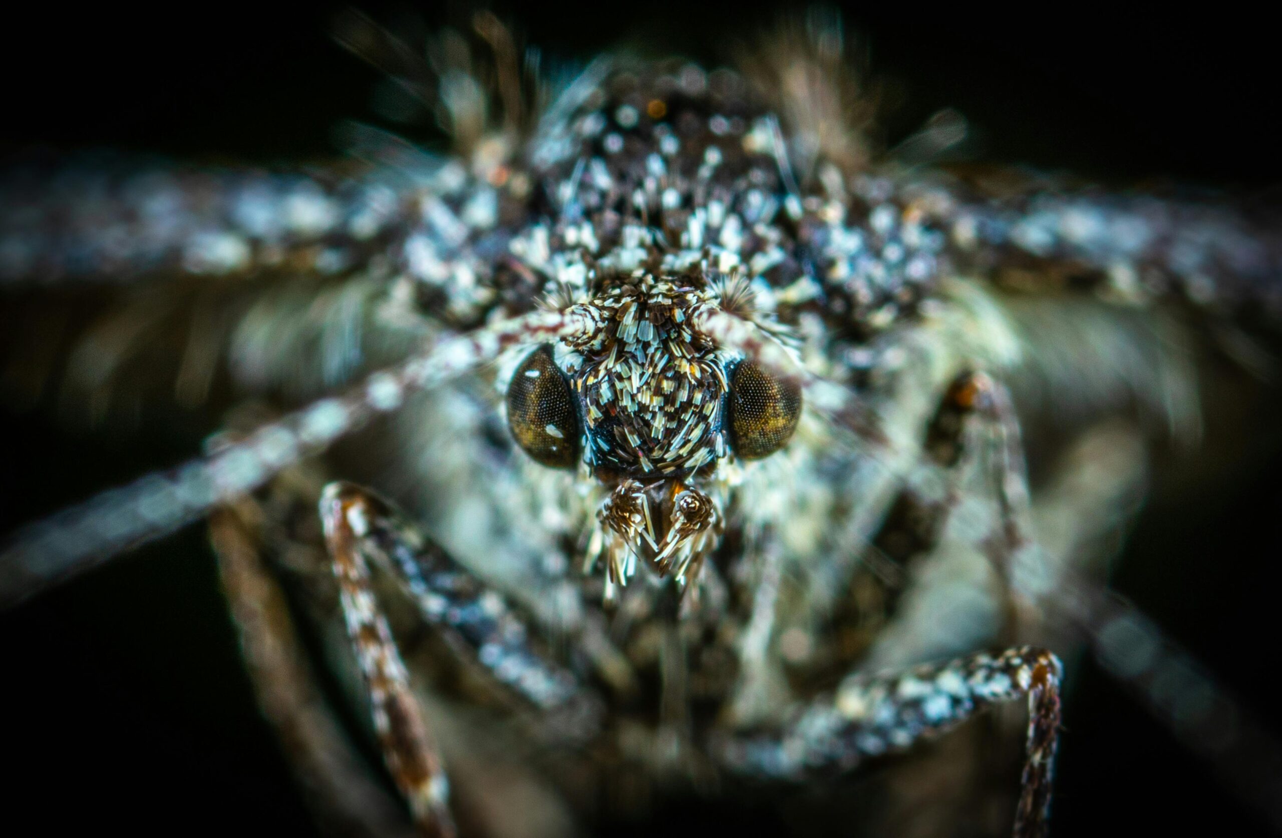 pexels photo 1149693 scaled