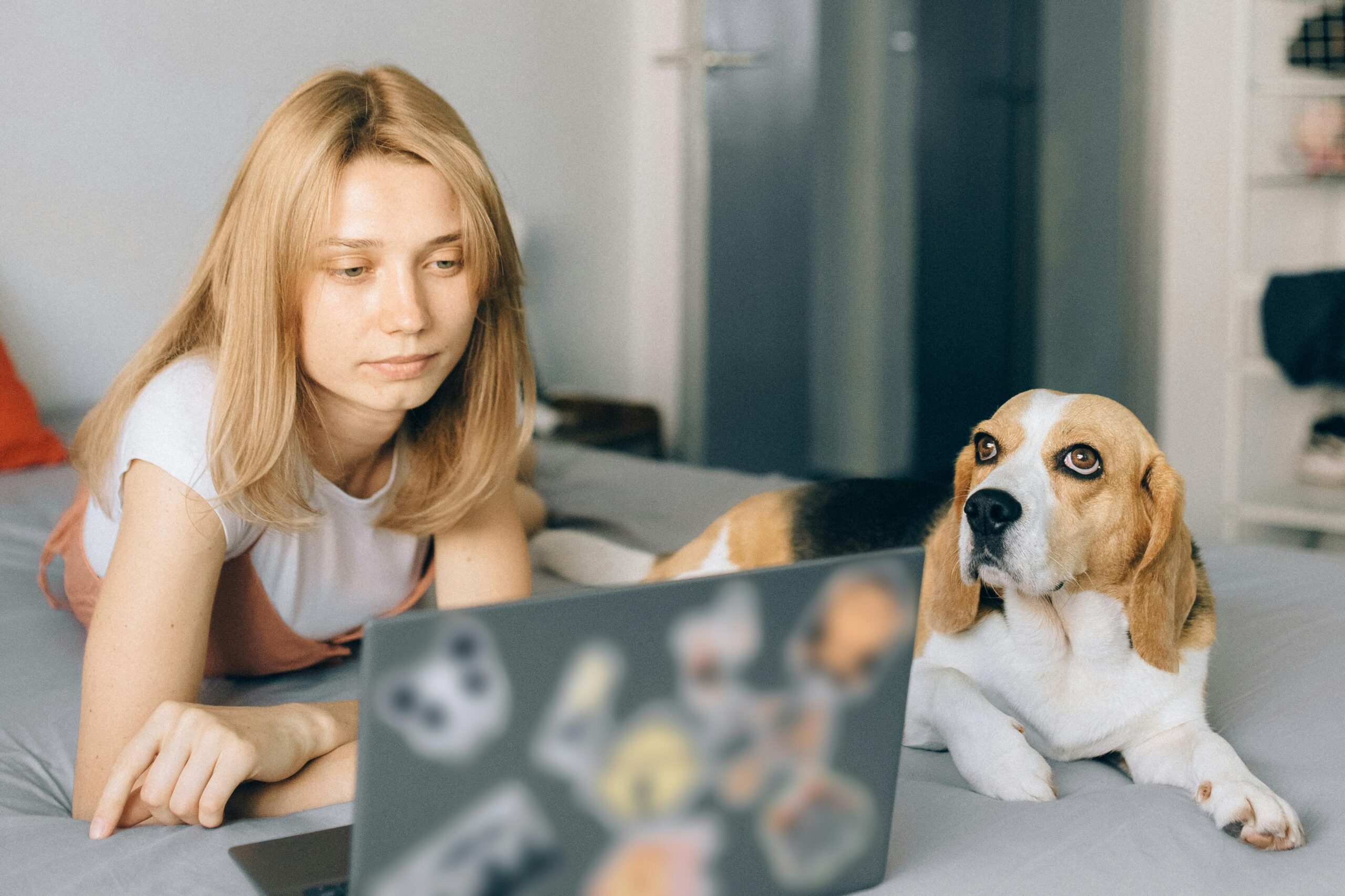 Erfolgreiche Webinare: Tipps für Anfänger