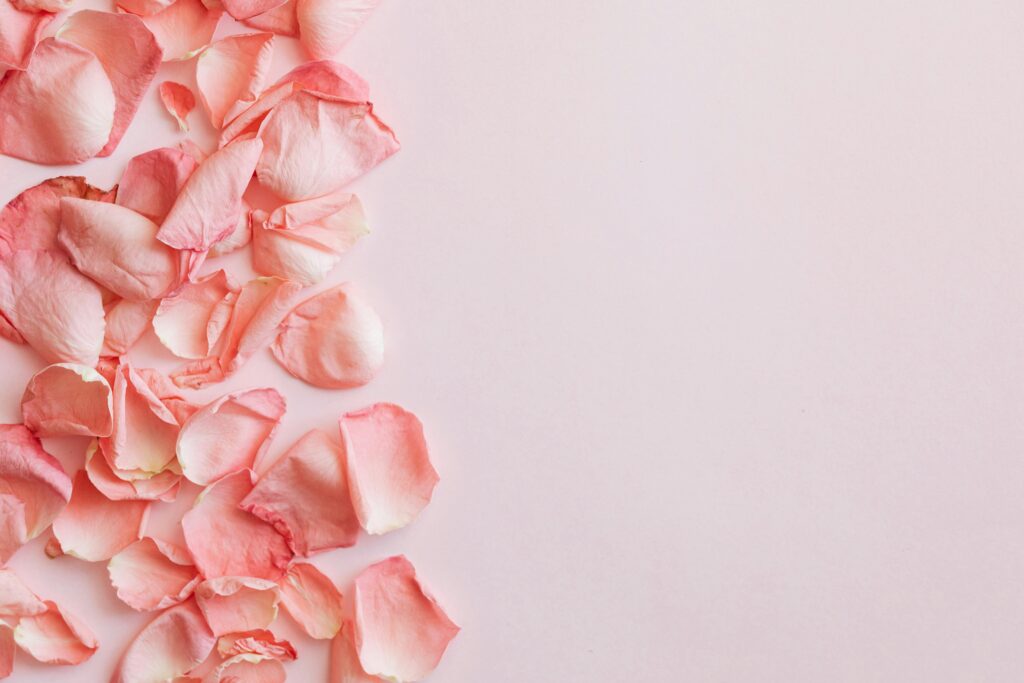 pexels photo 4041280