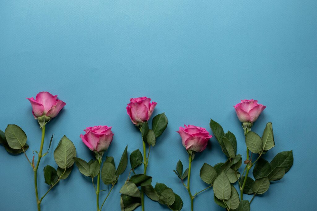 pexels photo 5874615