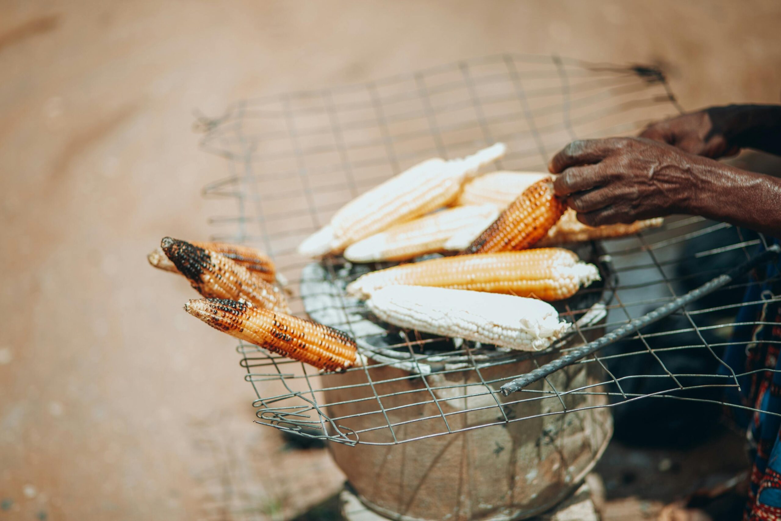 KI Speed Business: Schnelle Monetarisierung durch AI 2 Eine ältere Frau röstet Mais über offenem Feuer in Kaduna, Nigeria, und demonstriert so traditionelle afrikanische Kochmethoden.