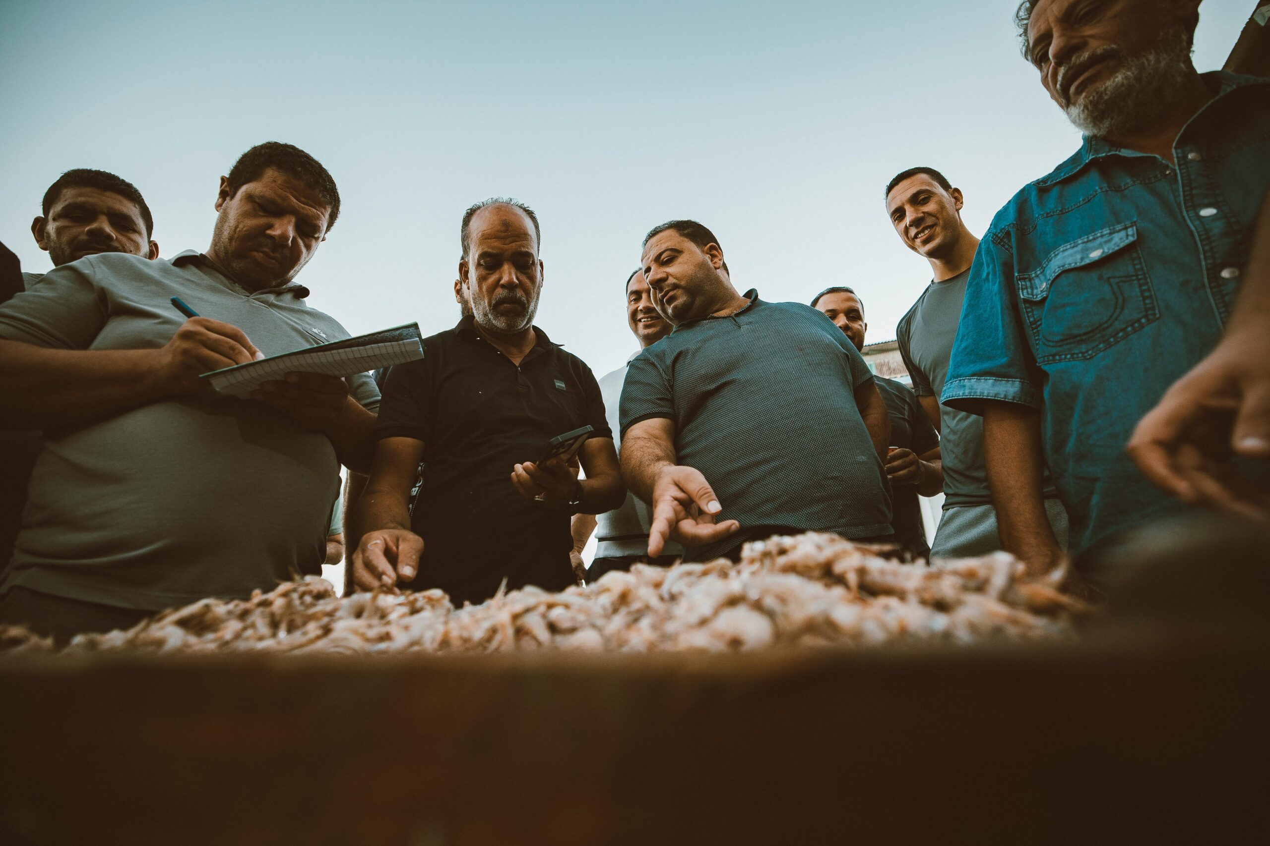 1-Euro-Business der Affiliarena: Chancen, Risiken, Tipps 2 Eine Gruppe ägyptischer Fischer versammelt sich auf dem Fischmarkt von Ras El-Bar, um den Tagesfang zu begutachten.